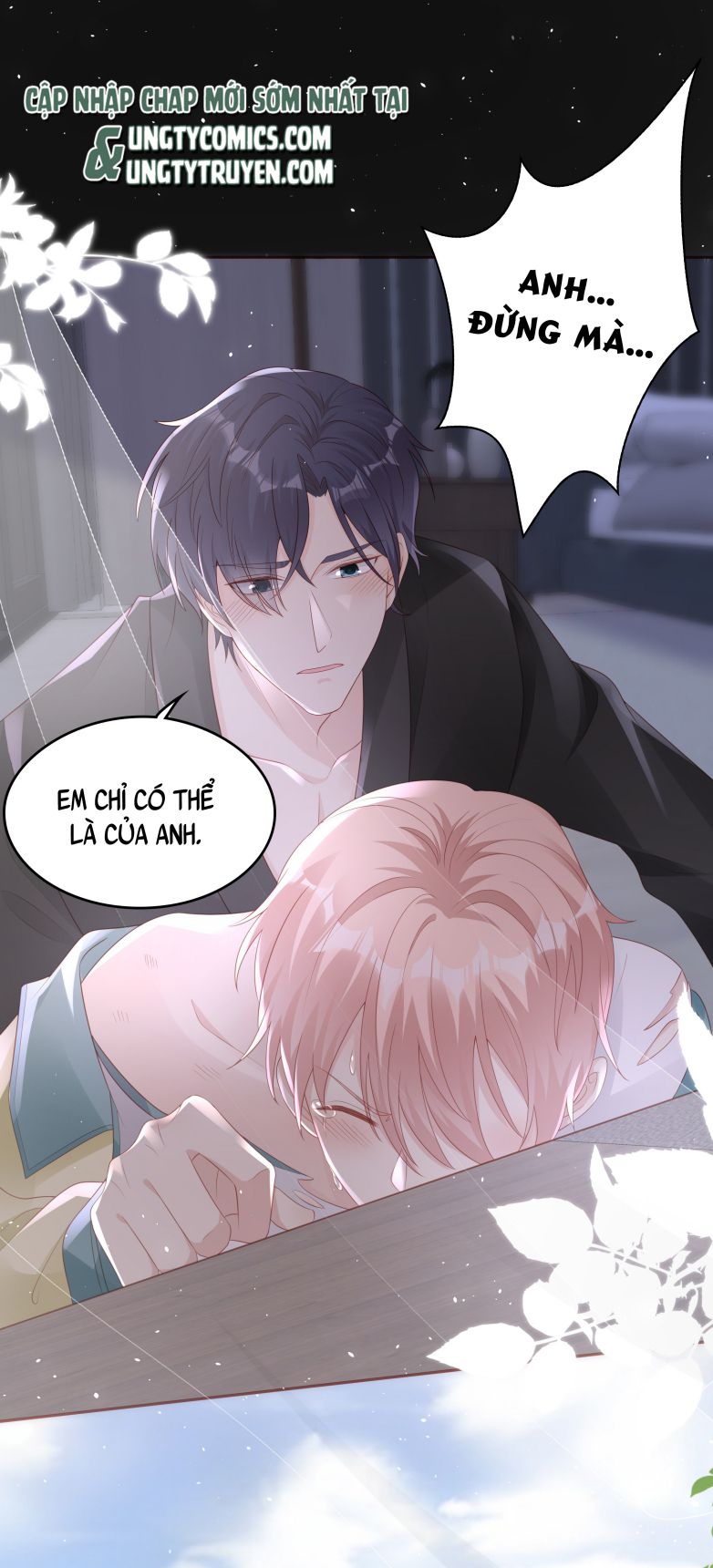 Bùi Bảo chapter 65