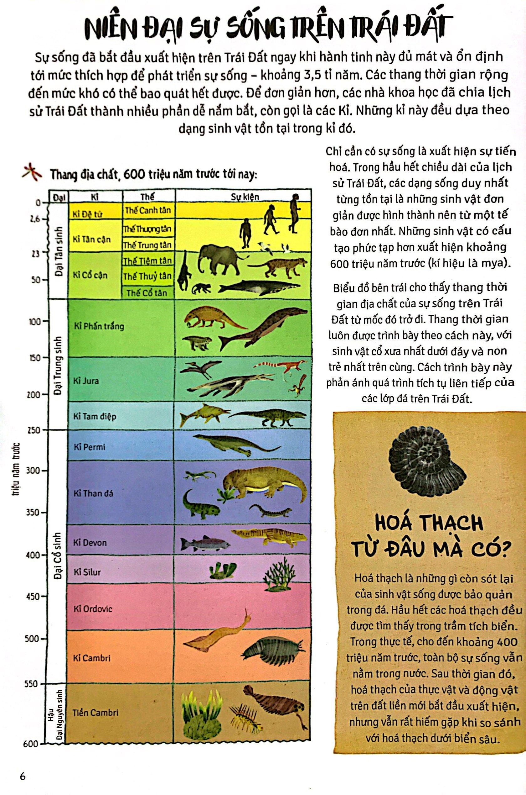 Thời Cá Voi Biết Đi