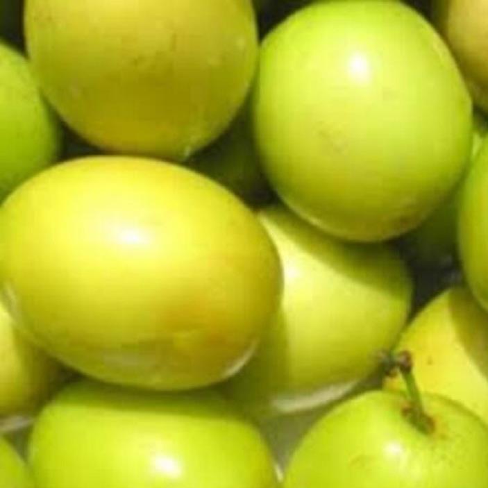 CÂY GIỐNG TÁO CHUA SIÊU QUẢ NĂNG SUẤT CAO