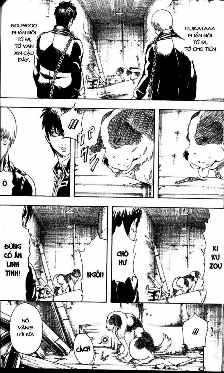 gintama - linh hồn bạc chapter 234 18