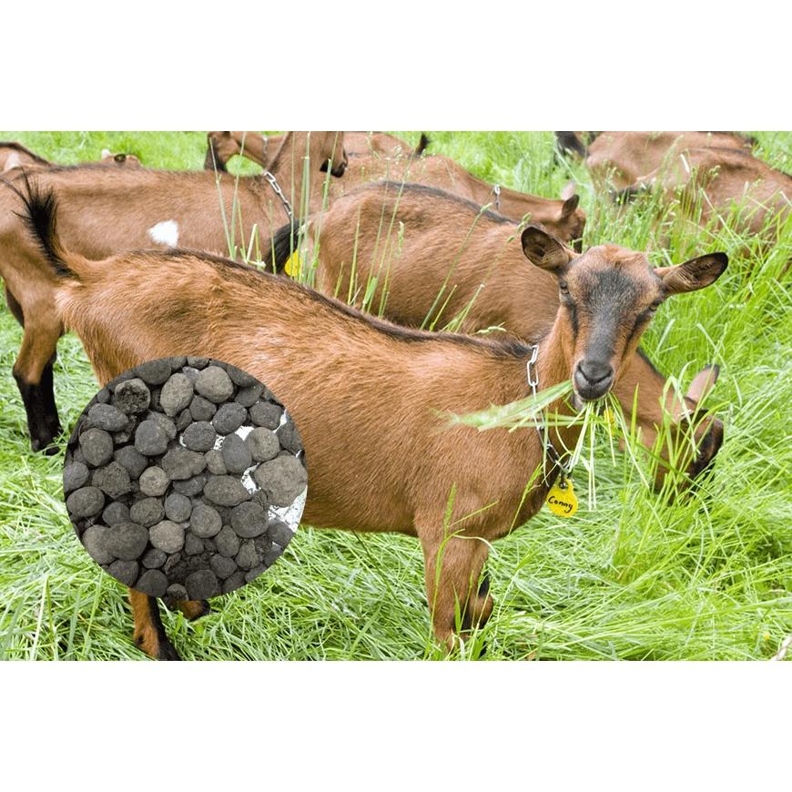 Phân dê cao cấp dã qua xử lý để bón lan TRIMIX-DT - Điền Trang