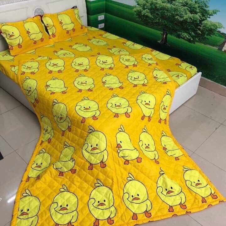 Bộ chăn ga vỏ gối 5 món 1m6x2m