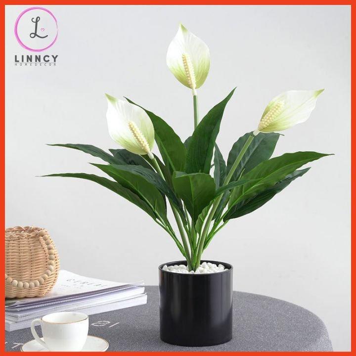 Chậu Hoa Để Bàn Bình Hoa Lan Ý Sang Trọng Cao 47cm Trang Trí Phòng Khách Cửa Hàng Văn Phòng