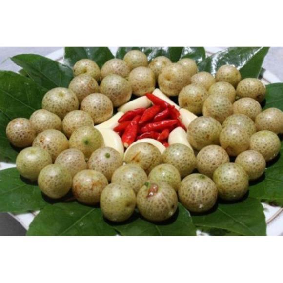 Sản phẩm CÂY GIỐNG MẮC MẬT