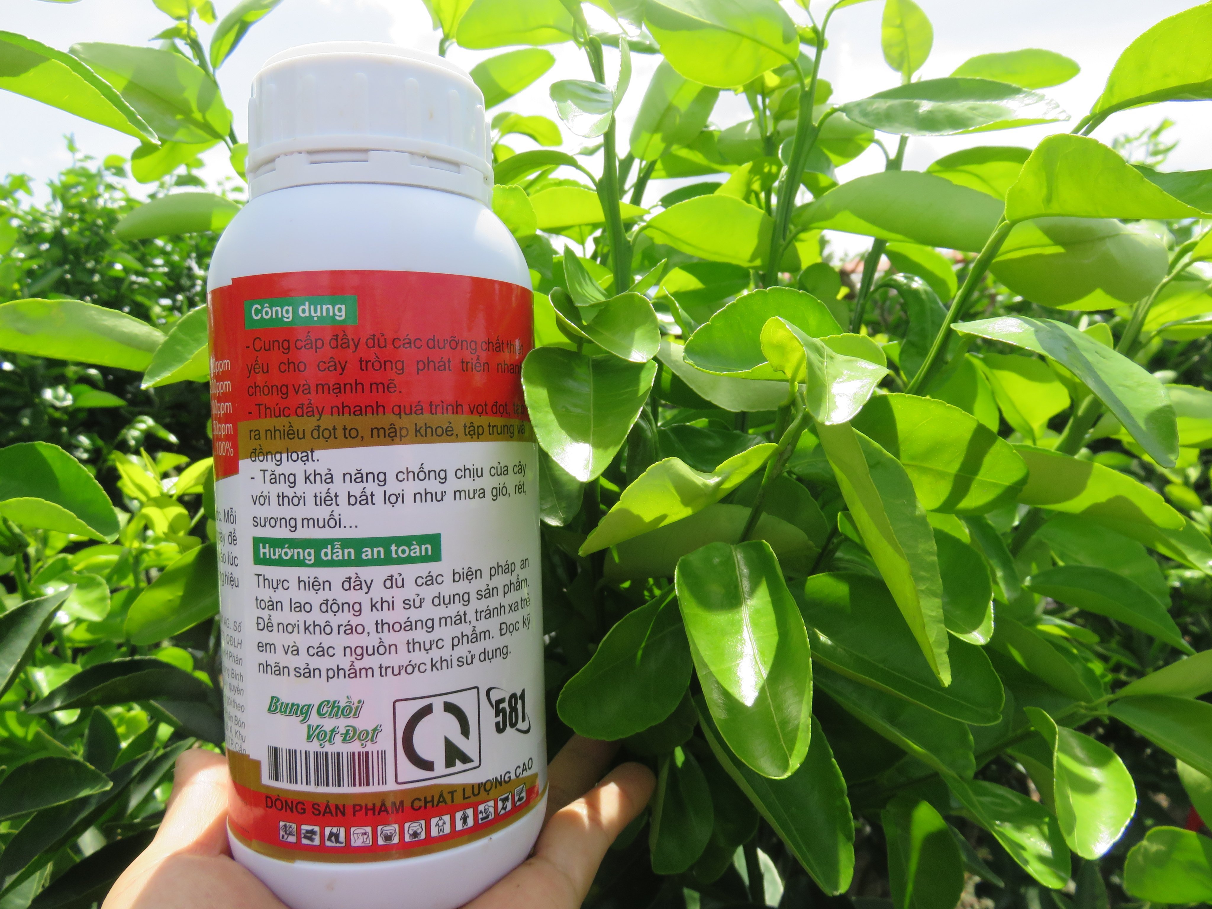 BUNG CHỒI VỌT ĐỌT CHAI 500ML - Đâm chồi mạnh, vọt đọt khỏe, ra nhiều đọt to và mập - Lá ra dày, mượt, phục hồi cây sau thu hoạch.