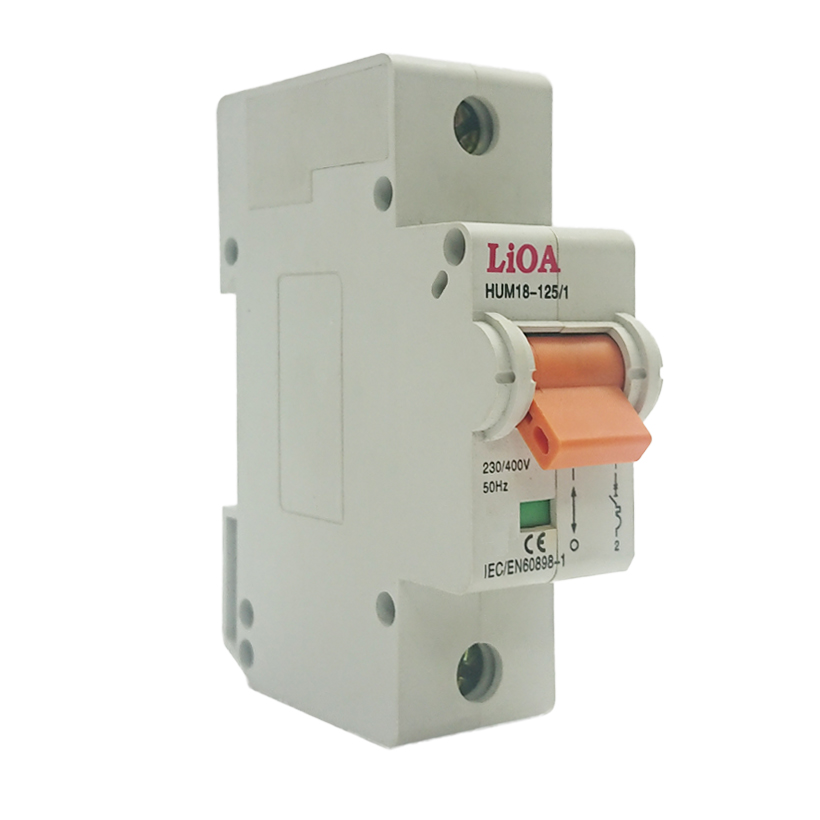 APTOMAT LIOA 1 CỰC 100A DÒNG CẮT 4,5KA