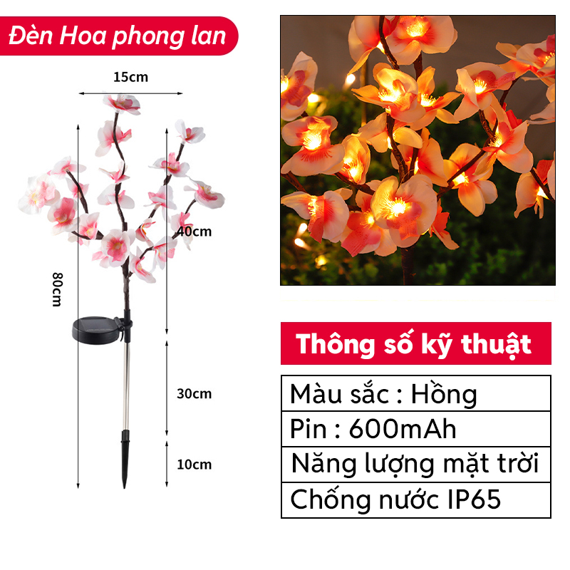 Đèn Trang Trí Năng Lượng Mặt Trời Hoa Phong Lan, Tấm Năng Lượng Silicon Tinh Thể, Tự Động Sáng - DA3061
