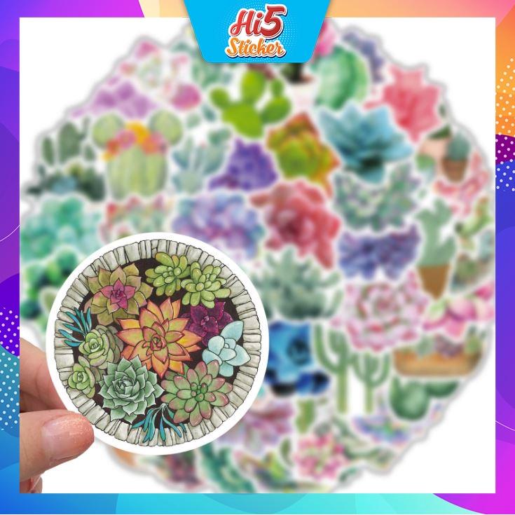 Sticker Hình Dán Trang Trí Xương Rồng Hoạt Hình ngộ nghĩnh ms#217