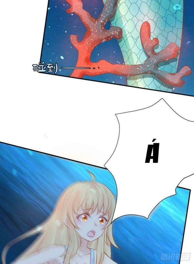 nhân ngư học trưởng, đừng ôm ta! chapter 85 35