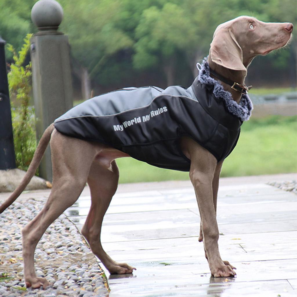 Dog Jacket in Winter  Sweater for Small and Medium Dogs Girl XL