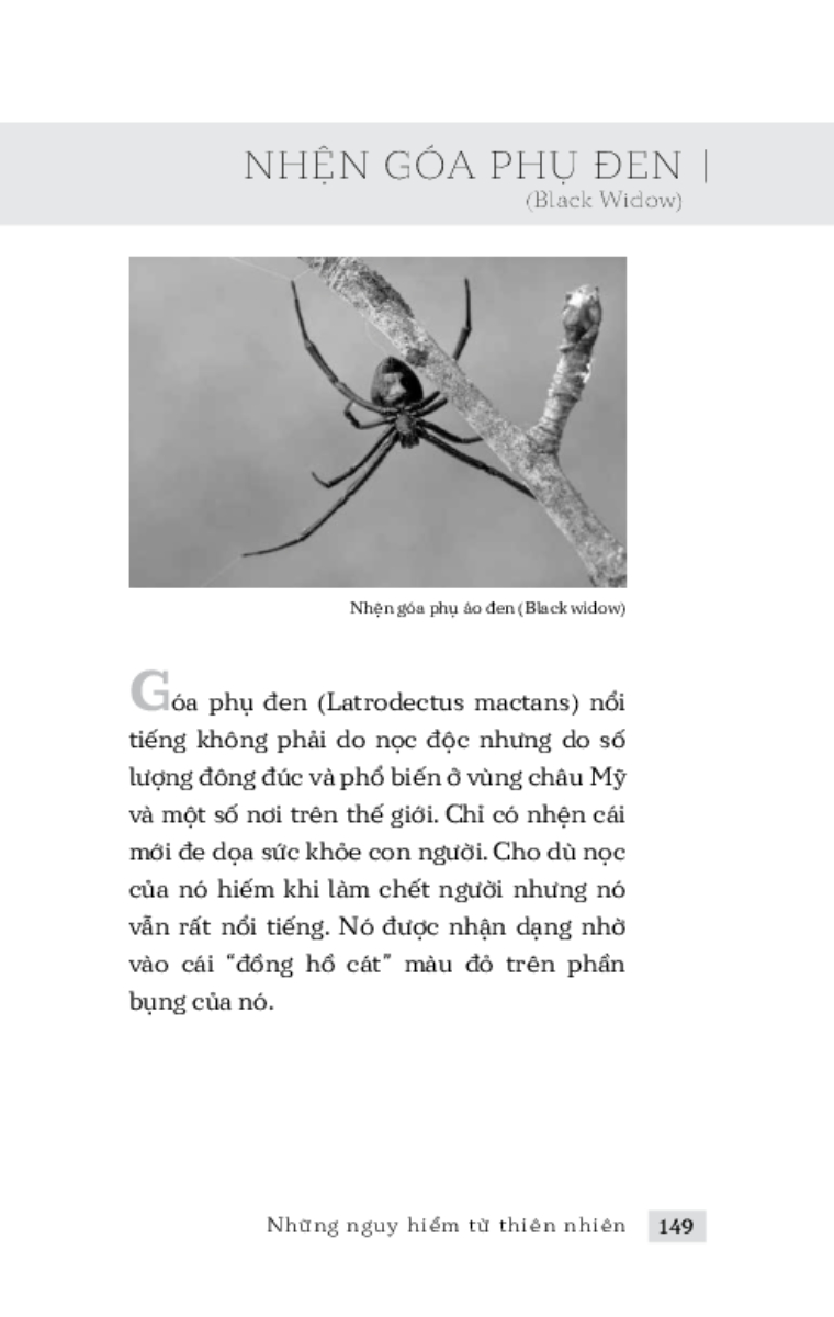 Những Nguy Hiểm Từ Thiên Nhiên _TRE