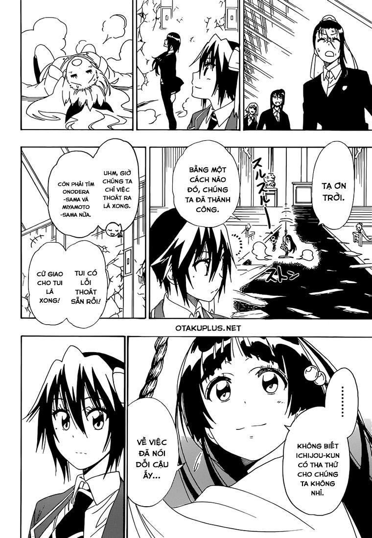 nisekoi - tình yêu giả tạo chapter 194 3