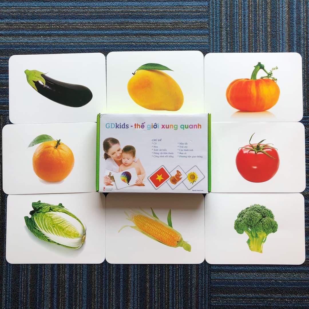 Combo Flash Card - Thẻ học thông minh theo phương pháp phương pháp Glenn Doman trọn bộ