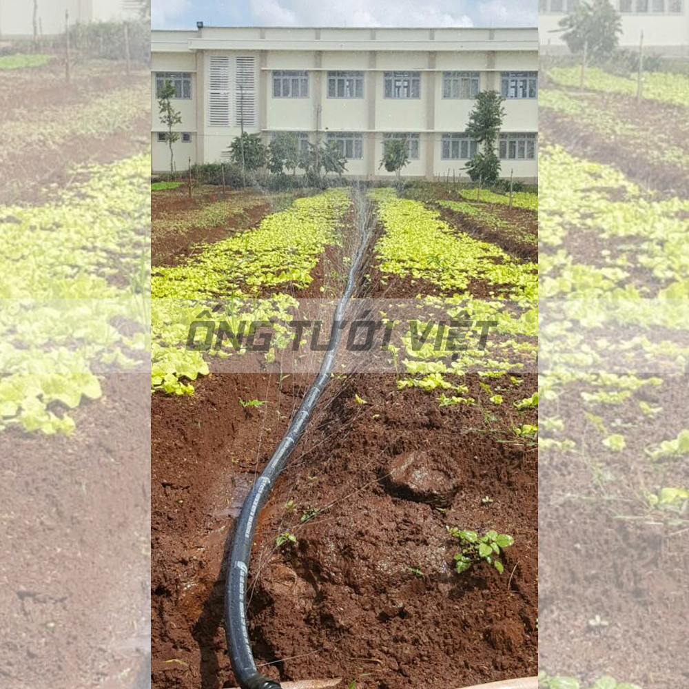 100m Ống dây tưới phun mưa Nguyễn Tân phi 42 | Ống mềm sử dụng trong hệ thống tưới nông nghiệp