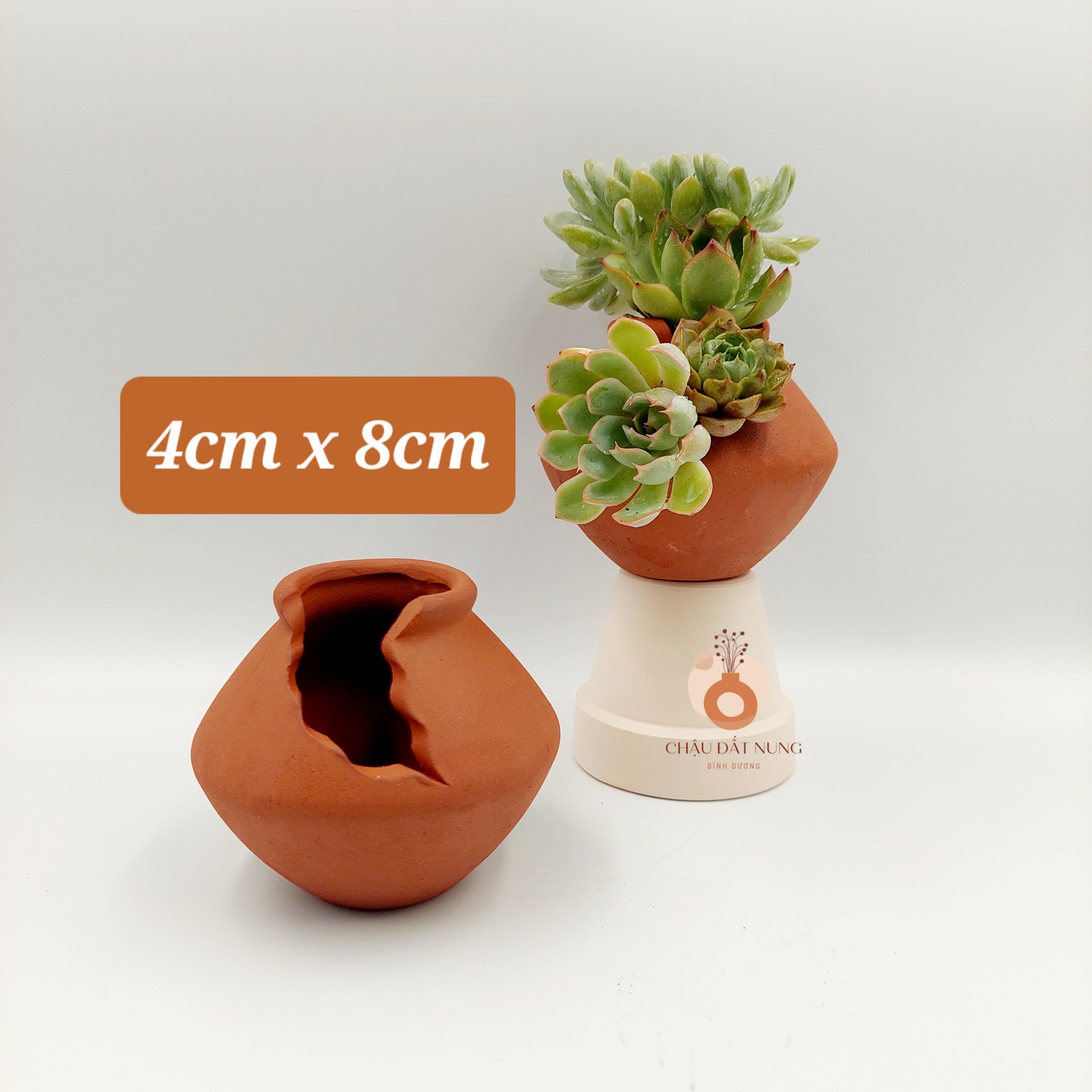 Chậu đất nung, chậu sen đá - Bình vôi dễ thương 48, miệng chậu 4cm, chiều cao 8cm
