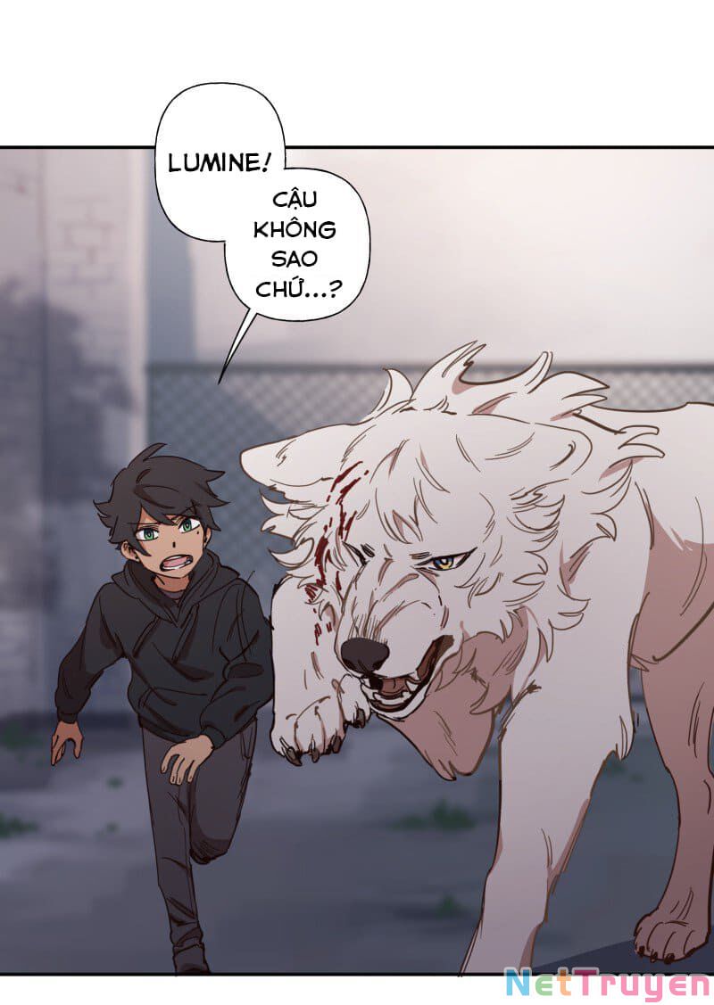 lumine - cội nguồn ánh sáng chapter 77 35