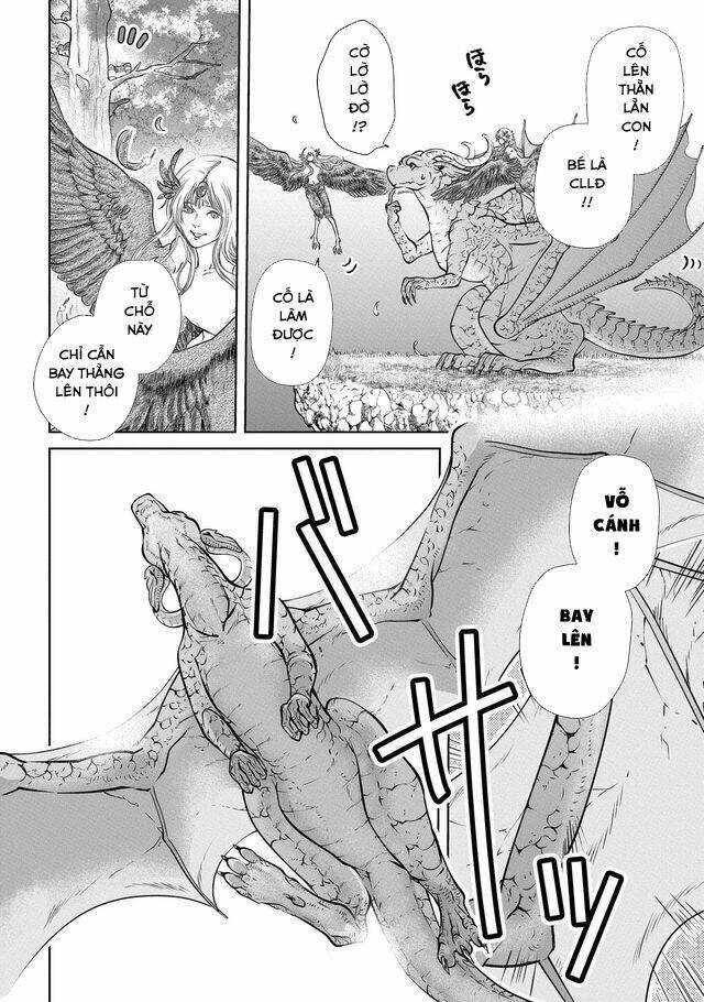 chuyện rồng ngố tìm nhà chapter 1 23