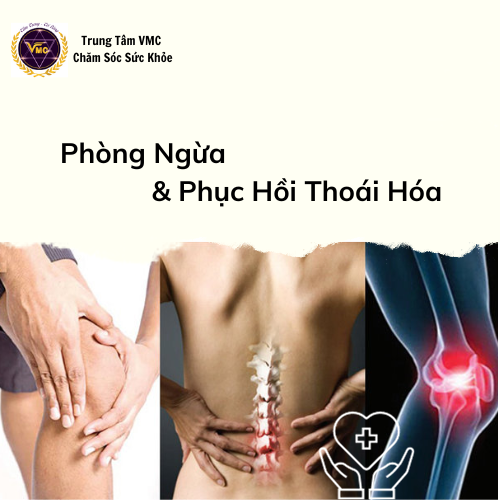 Khóa Học Video Online Phòng Ngừa Và Phục Hồi Thoái Hóa Khớp, Cột Sống - Trung Tâm Chăm Sóc Sức Khỏe VMC