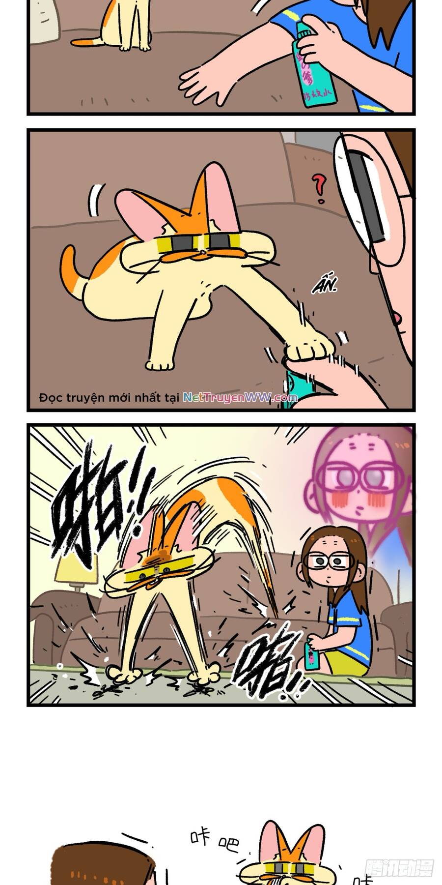 a mãn và mạch trà chapter 165 5