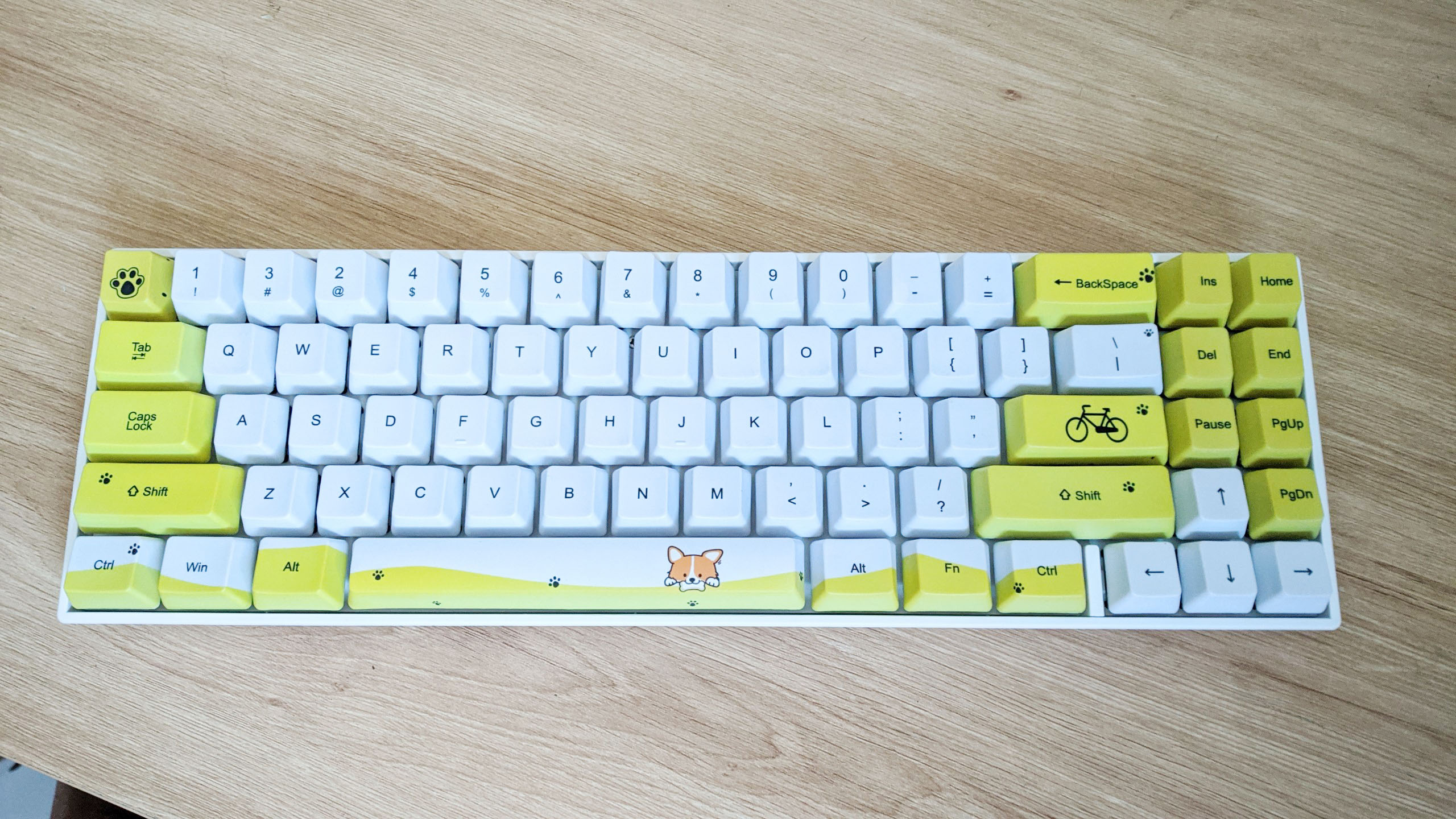 Bàn Phím Cơ Không Dây RK71 Phiên Bản Giới Hạn Nhiều Hoạ Tiết. Keycap PBT, công nghệ in Dye Sub. - Chính hãng Royal Kludge. Đủ màu sắc và Switch.