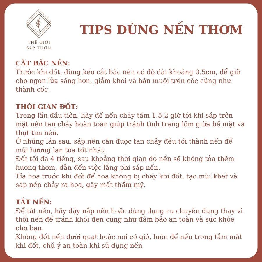 Nến Thơm Retro Bấc Gỗ WIACHNN Sáp Dừa Thiên Nhiên Cao Cấp Khử Mùi Trang Trí 356G