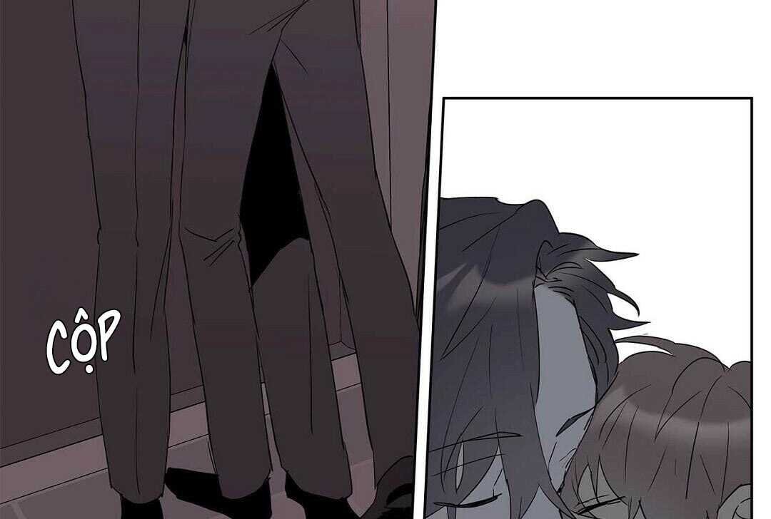 guide cấp b chapter 41 81