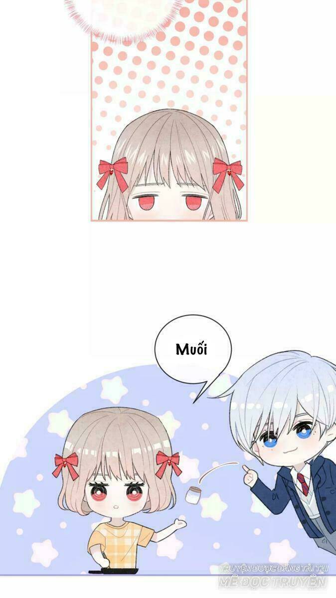 từ cái nhìn của em chapter 31 31