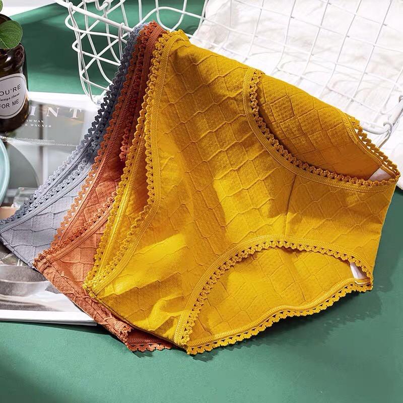 Quần Lót Cotton Kháng Khuẩn Viền Ren