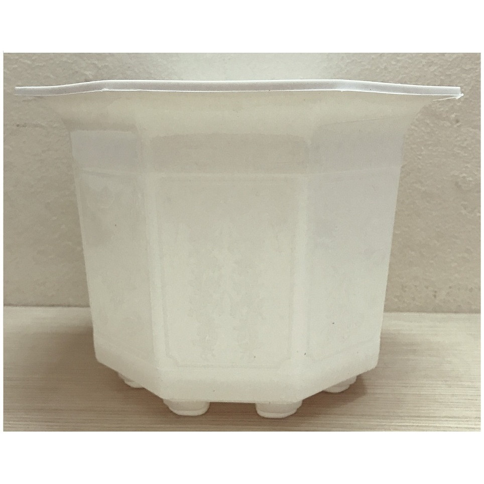 1 Chậu Nhựa Bát Giác 210x170 Màu Trắng