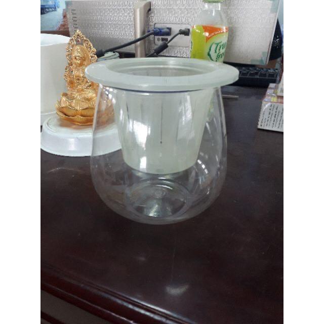 Chậu Nhựa Trong thủy tinh trồng cây thuỷ sinh 10x17cm đã bao gồm giỏ đặt cây