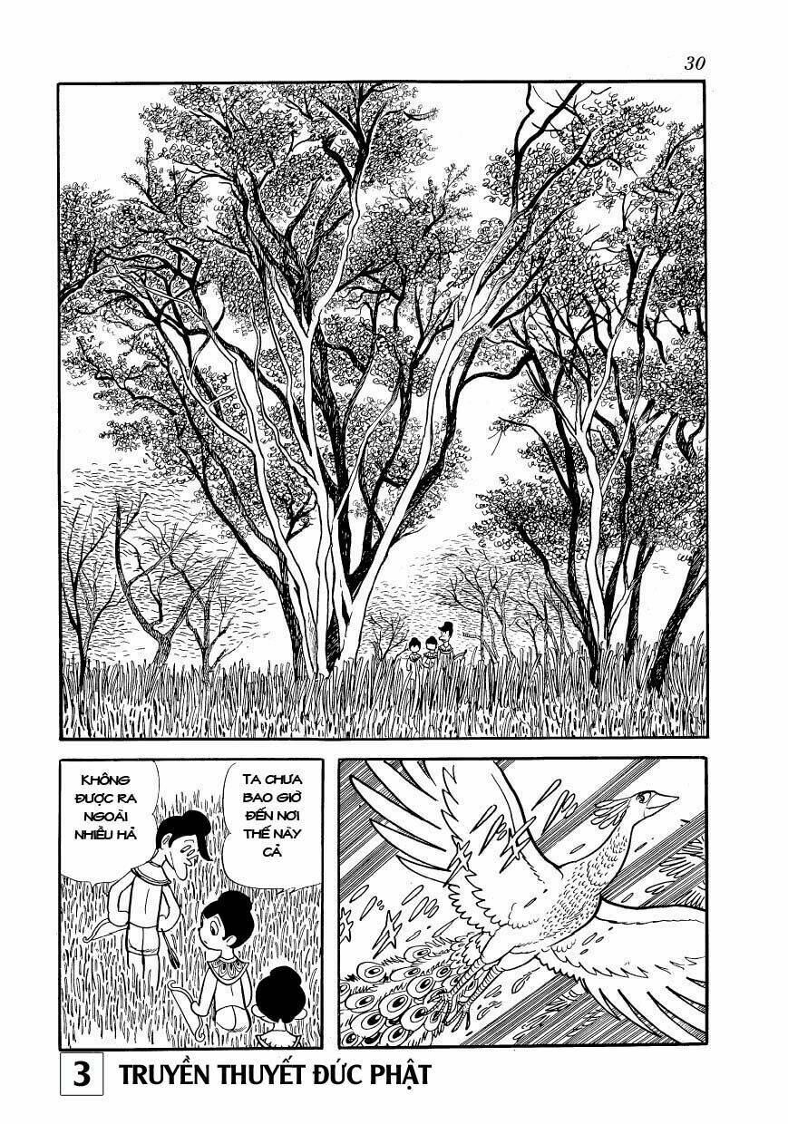 buddha - truyền thuyết đức phật chapter 13 30