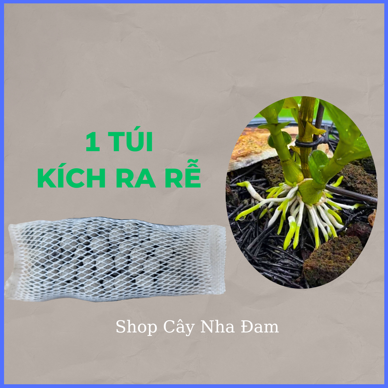 Phân Kích Thích Ra Rễ, Ra Hoa Cho Phong Lan, Cây Cảnh, Dưỡng Cây, Siêu Tan Chậm