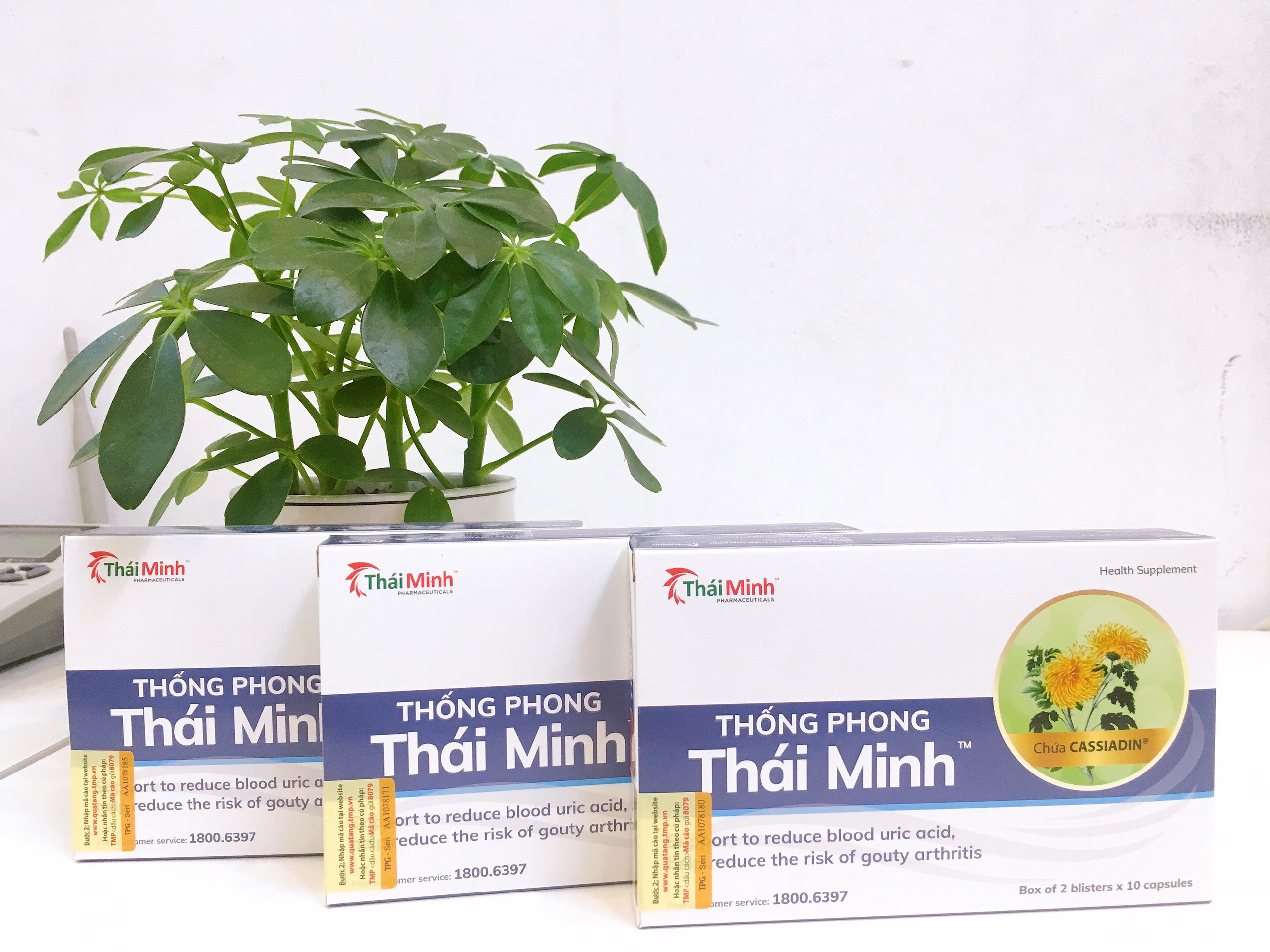 Combo 6 hộp Thống Phong Thái Minh