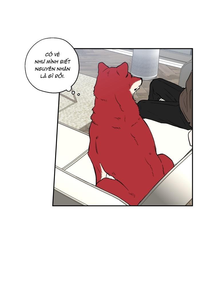 gâu gâu! chapter 21 18