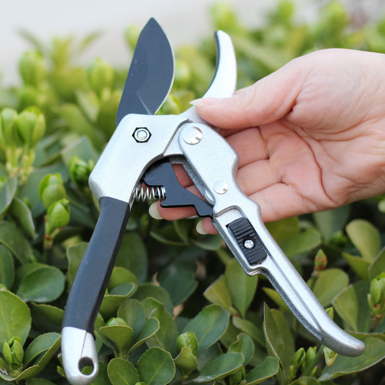 Kéo cắt cành màu bạc lưỡi trượt