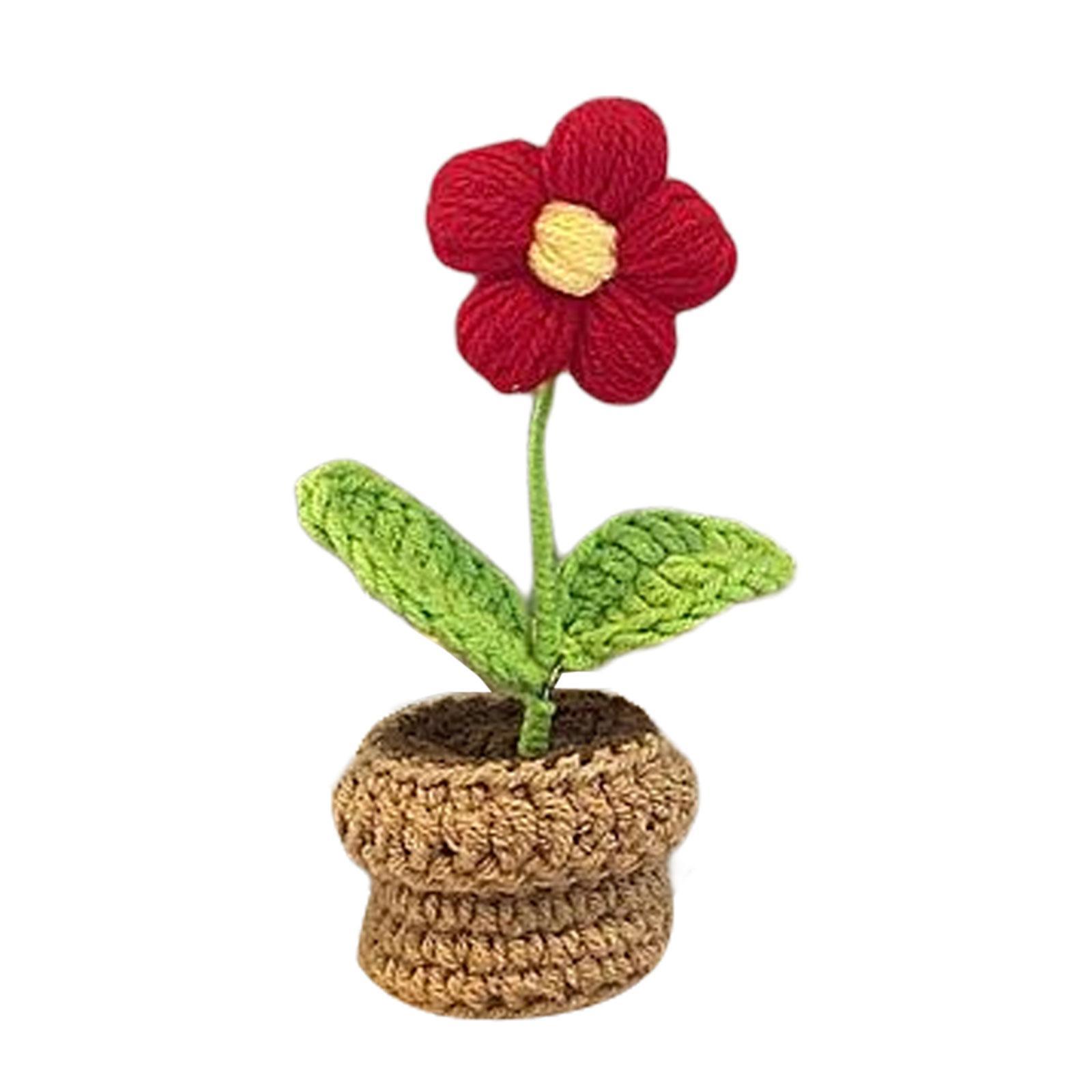 Handmade DIY Beginner Crochet Kit for Adults and Kids Includes Yarn