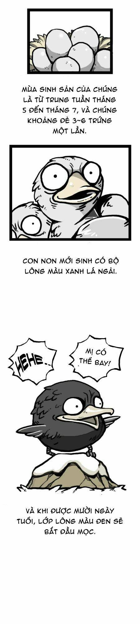 earth, human, and animal chapter 20 19