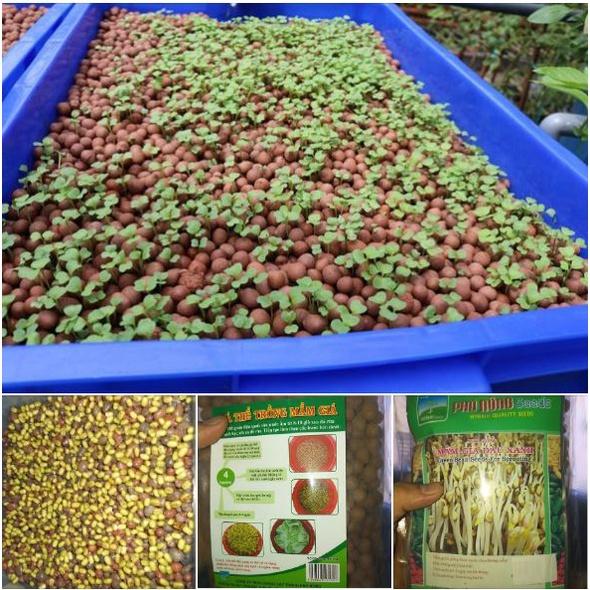 Bộ Giá Thể Trồng Mầm Giá 400g