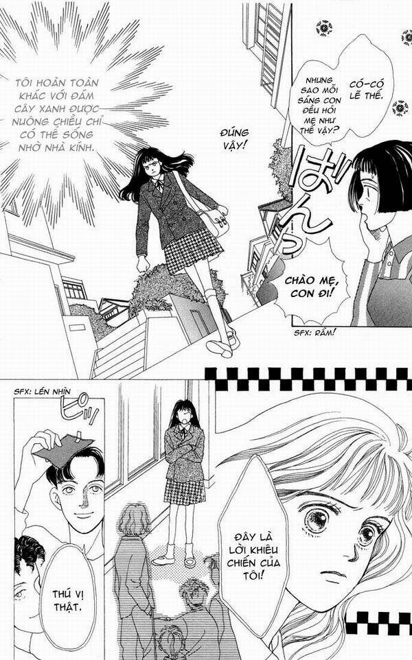 con nhà giàu chapter 2 15