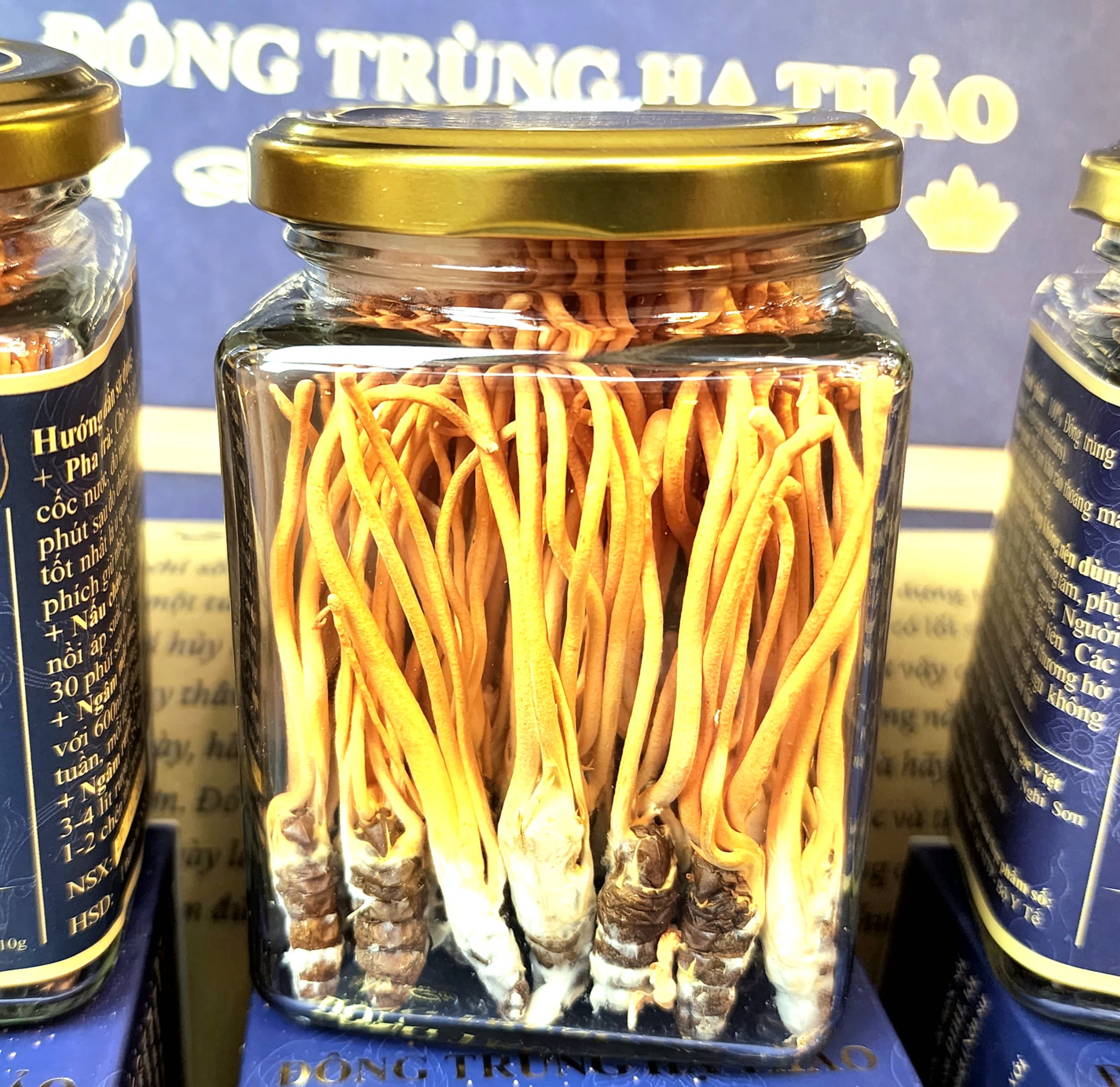 Đông trùng hạ thảo nguyên con thượng hạng Thảo Ngọc Việt - hộp 30g, dược chất cao, hiệu quả, an toàn, tiết kiệm