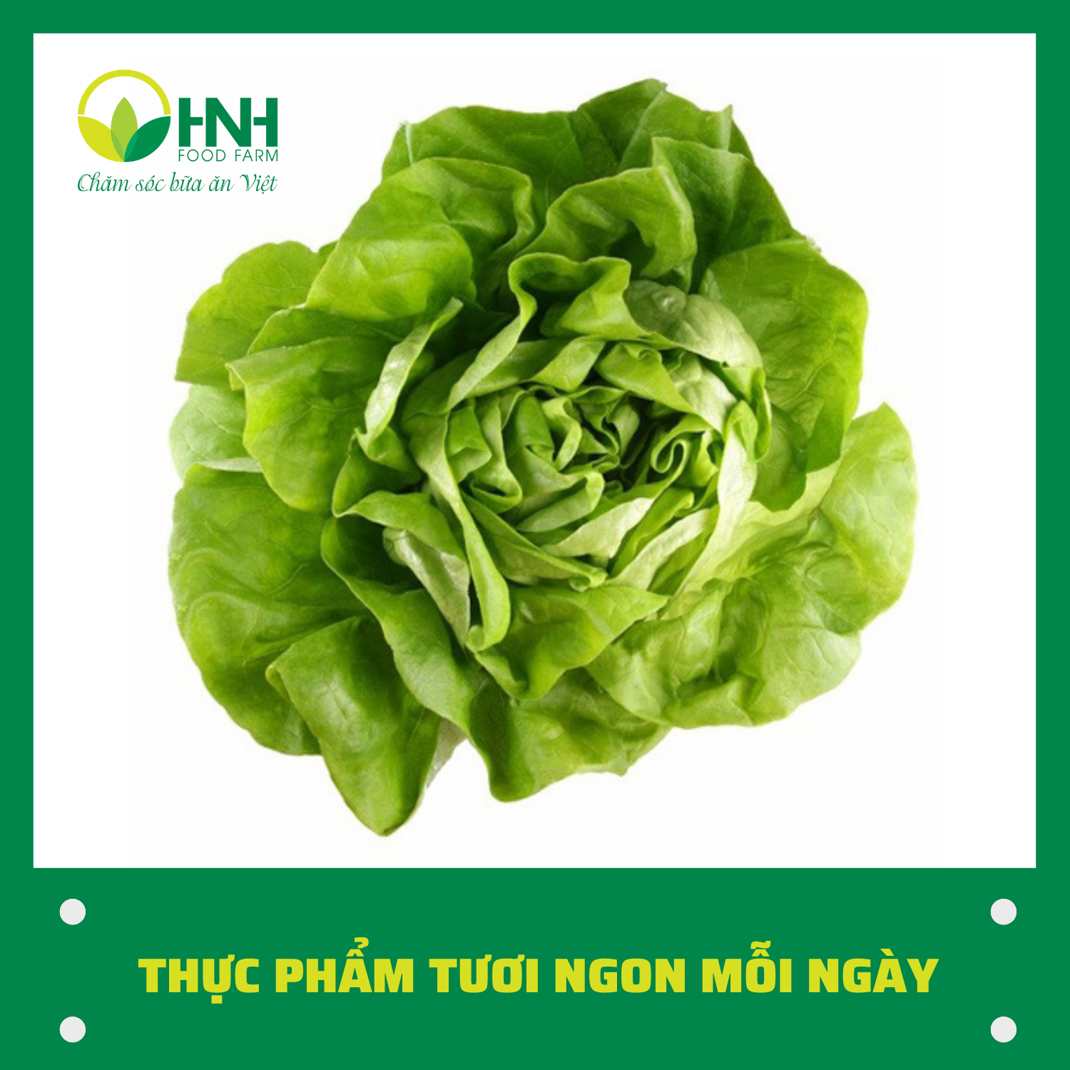 Xà lách chuẩn sạch ngon - 02 kg - HNH Food Farm