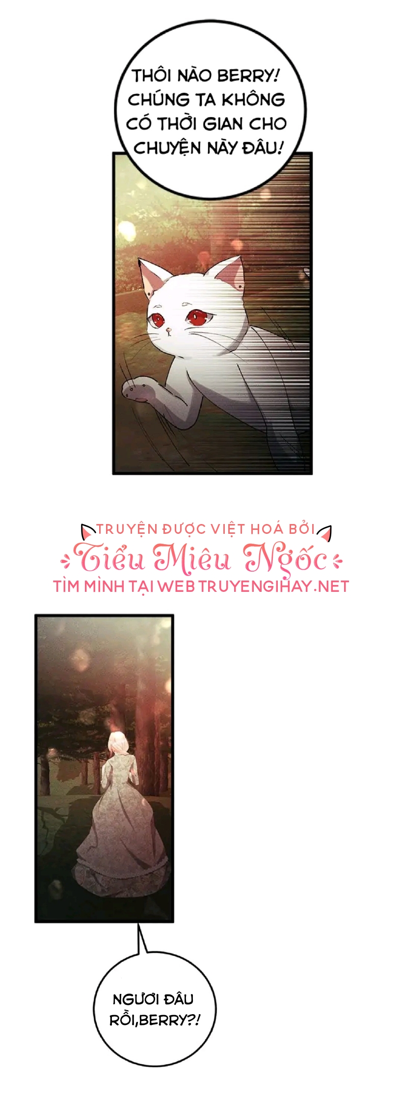 tôi muốn hủy cuộc hôn ước này chapter 31 13