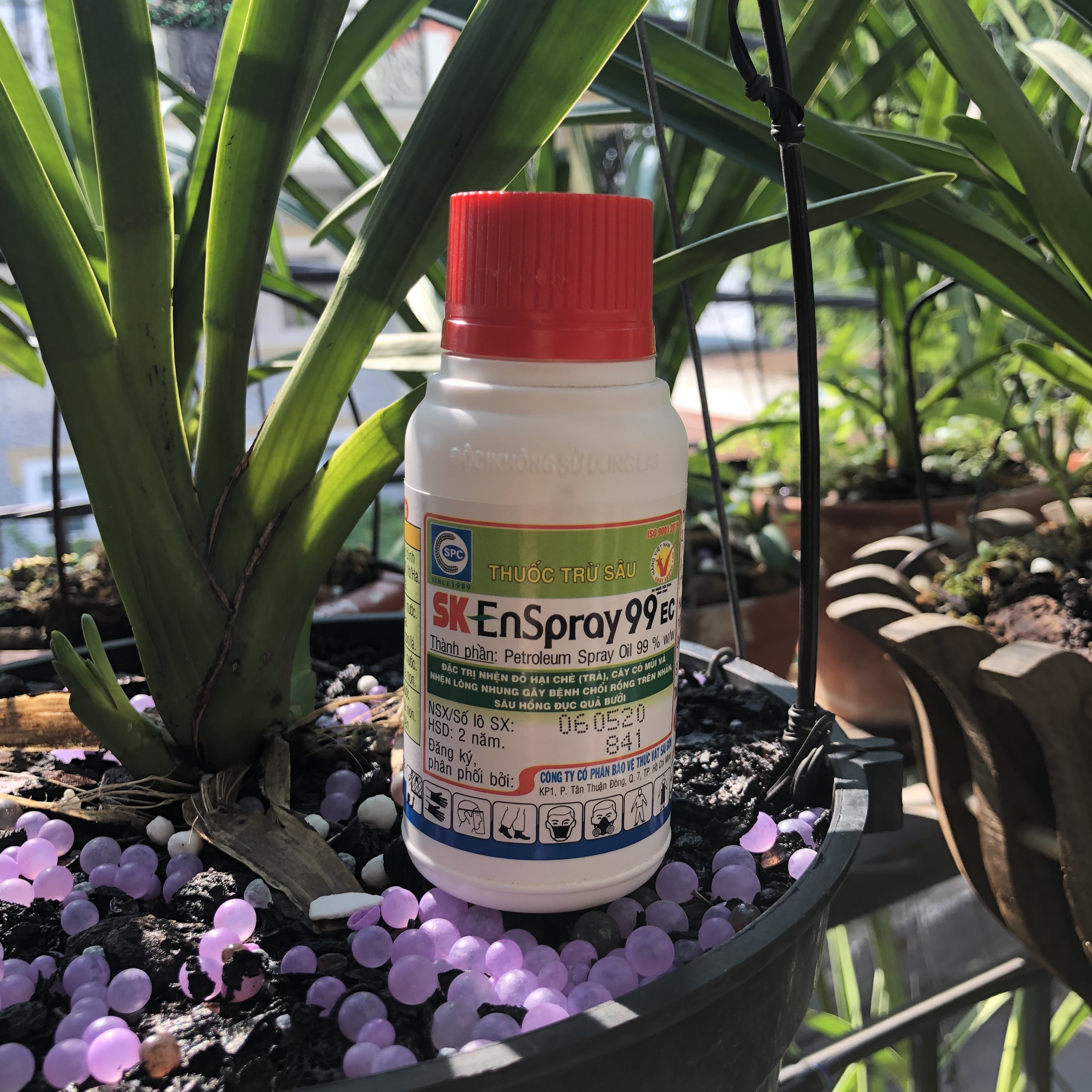 DẦU KHOÁNG SK EnSpray 99EC Đặc trị nhện đỏ cồn trùng