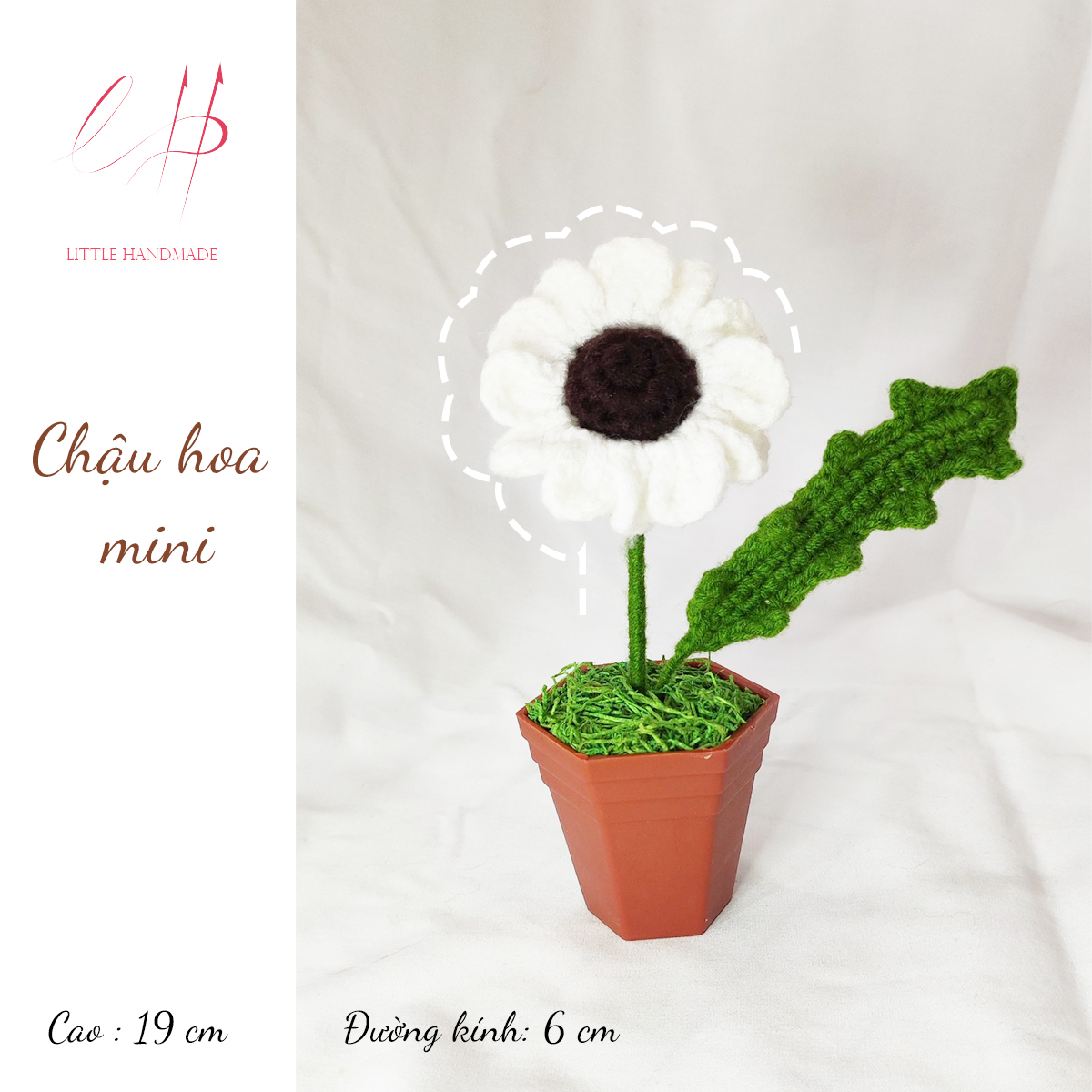 Chậu hoa mini 19 x 6 cm