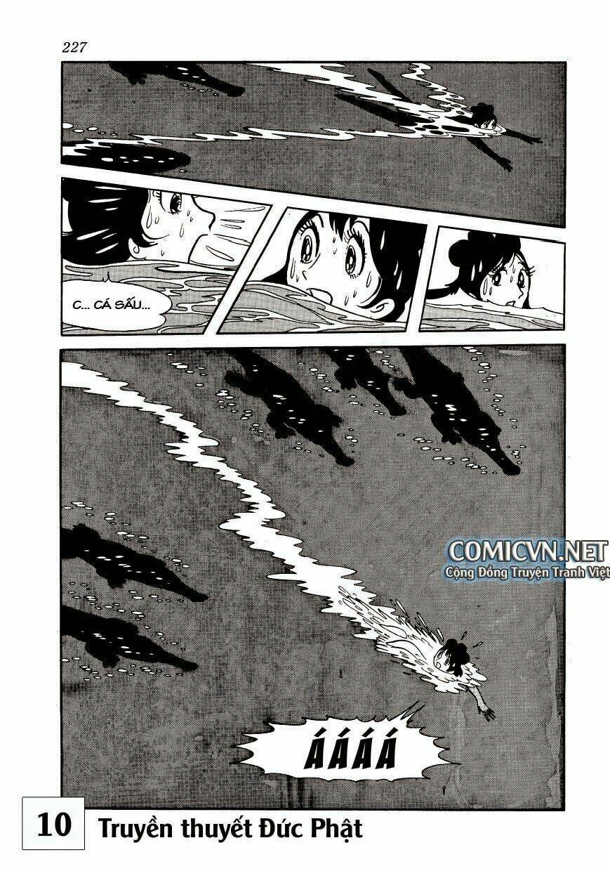 buddha - truyền thuyết đức phật chapter 49 18
