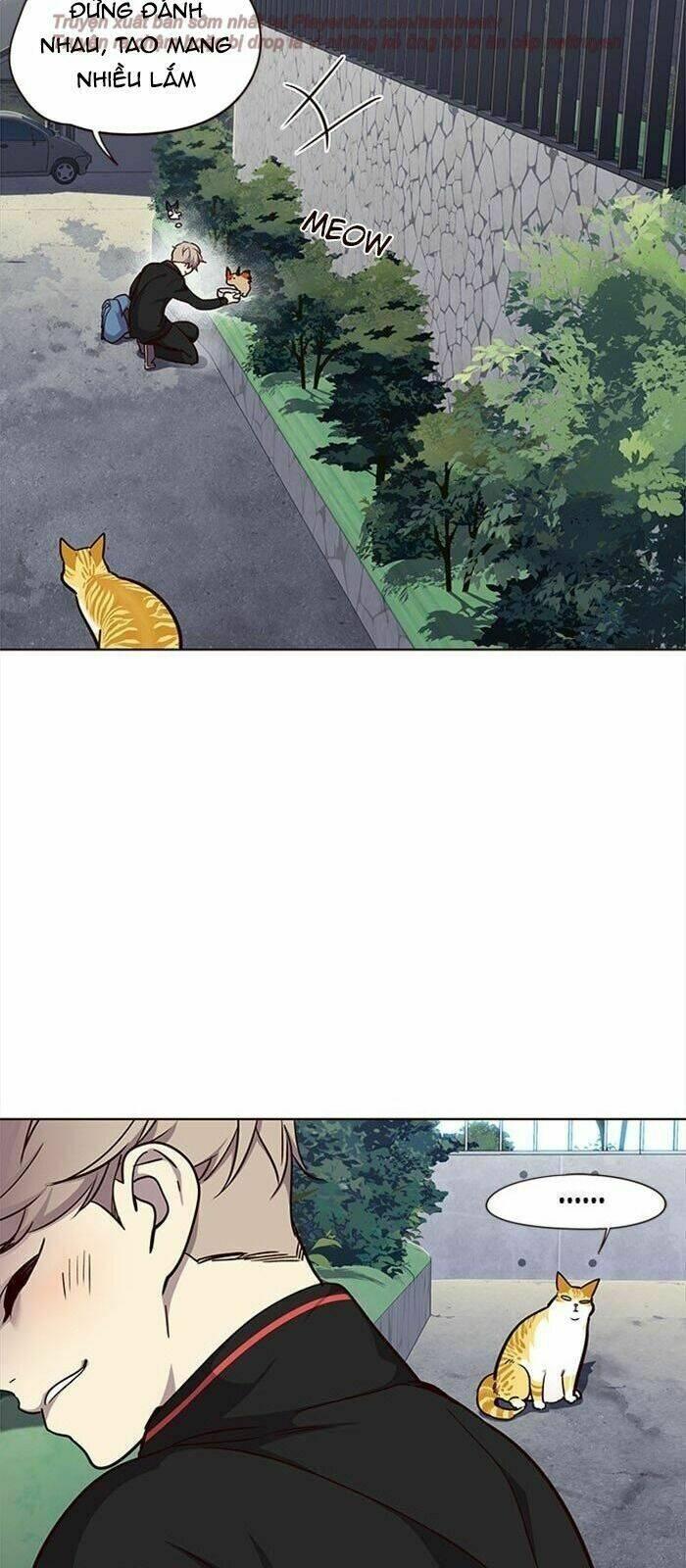 biến thân thành mèo chapter 36 96