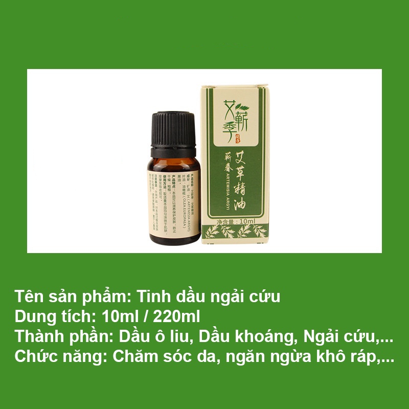 Dầu ngải cứu massage body AIQI đả thông kinh lạc, dưỡng ẩm cho da