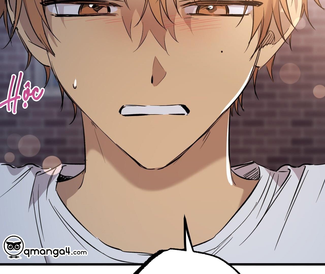 những chú thỏ của hapypy chapter 58 191