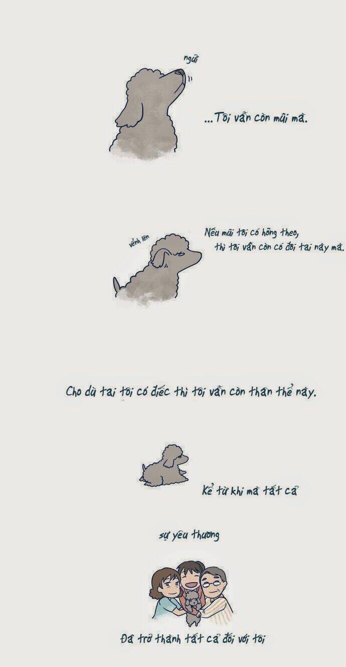 mèo con và chú chó già của tôi chapter 4 2