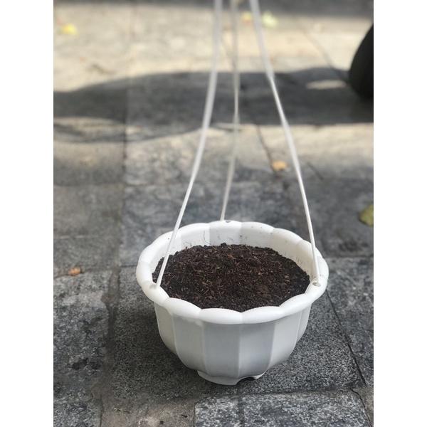 Chậu nhựa treo hình quả bí hàng loại 1- Chậu nhựa bí trồng cây hoa,cây cảnh nhiều màu